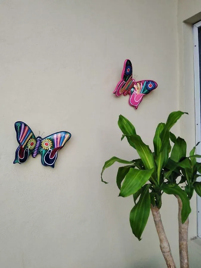 Roomsceibo Cancún Han/Misafirhane